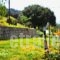 Xenonas Bizani_best deals_Apartment_Epirus_Ioannina_Bizani