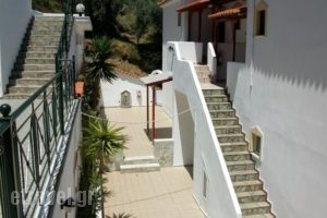 Villa Teozenia_lowest prices_in_Villa_Thessaly_Magnesia_Milies