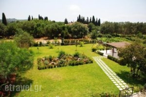 Dallas_holidays_in_Apartment_Ionian Islands_Kefalonia_Svoronata