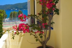 Kalypso studios and apartments_lowest prices_in_Apartment_Ionian Islands_Kefalonia_Kefalonia'st Areas