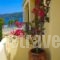 Kalypso studios and apartments_lowest prices_in_Apartment_Ionian Islands_Kefalonia_Kefalonia'st Areas