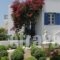 Giannis Hotel Apartments_best deals_Apartment_Cyclades Islands_Milos_Milos Chora