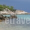 Haus Galini_best deals_Apartment_Macedonia_Halkidiki_Sarti