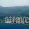 Kalypso studios and apartments_accommodation_in_Apartment_Ionian Islands_Kefalonia_Kefalonia'st Areas