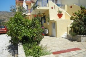 Elli_accommodation_in_Apartment_Aegean Islands_Samos_MarathoKambos